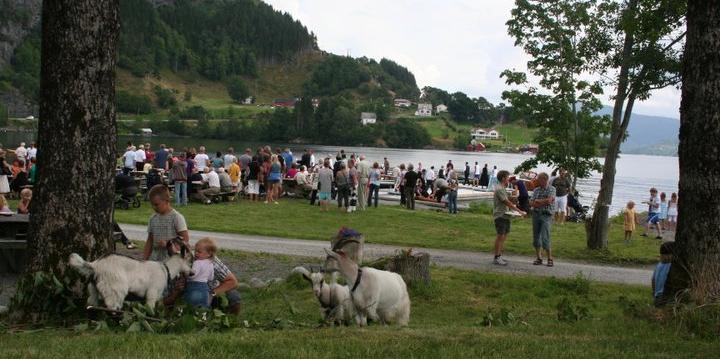 Bilde/illustrasjon om Holmedal vel